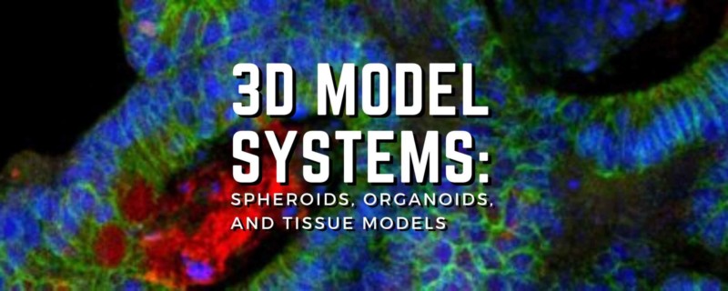 3d model systems