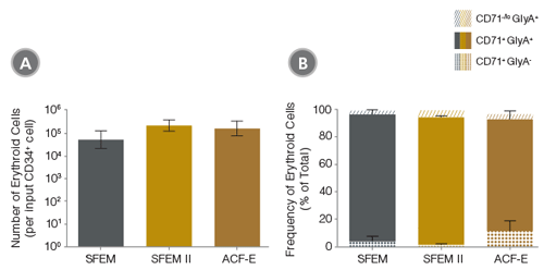 Production of Erythroid Cells from Human CB-Derived CD34+ Cells Cultured in StemSpan™ Media Containing StemSpan™ Erythroid Expansion Supplement
