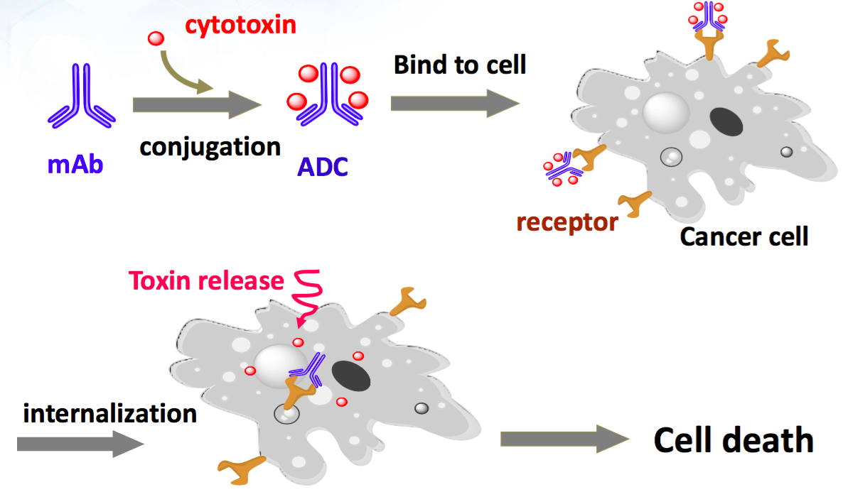 Figure Courtesy of WuXi Biologics