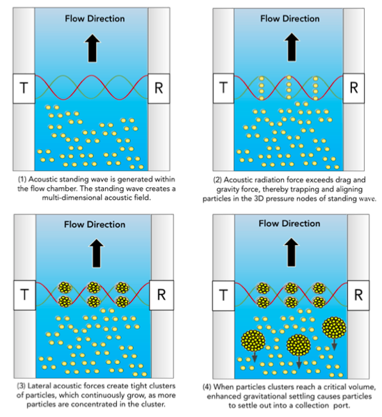 Acoustic Cell Processing Flow