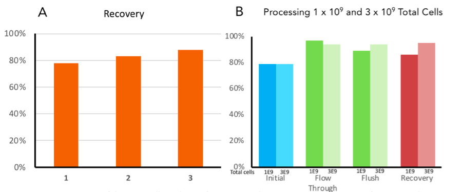 Acoustic Cell Processing Recovery and Processing