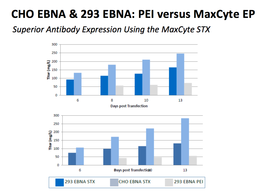 Figure 4: High Titer mAb Expression in CHO EBNA and 293 EBNA Cells. CHO EBNA and 293 EBNA cells were transfected with an IgG expression plasmid via static electroporation (6E7-8E7 cell per condition) and cultured in 125 mL shake flasks for 13 days. Secreted antibody titers in both STX-transfected cell lines greatly exceeded titers generated by an optimized PEI transfection method of 293 EBNA cells.