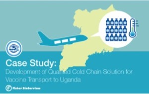 Case Study Picture