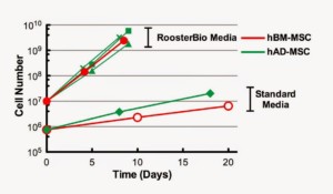 Figure 1: hAD-MSCs have similar expansion and doubling time to hBM-MSCs in RoosterBio High Performance Media.
