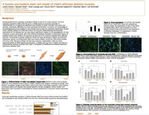 Genea ISSCR Poster