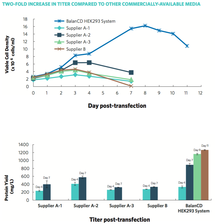 Increased Recombinant Protein Production and Culture Longevity