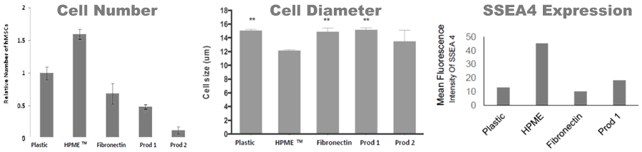 MSCs cultured on BM-HPME® are smaller, grow faster and retain expression of SSEA-4.