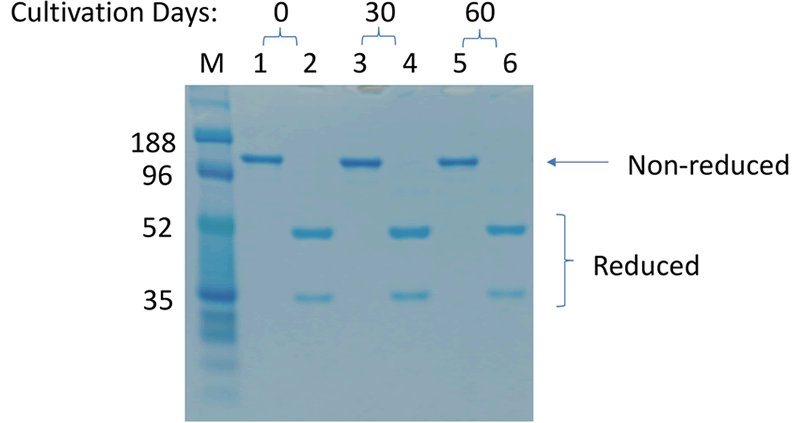 Fi 4c: Protein Quality