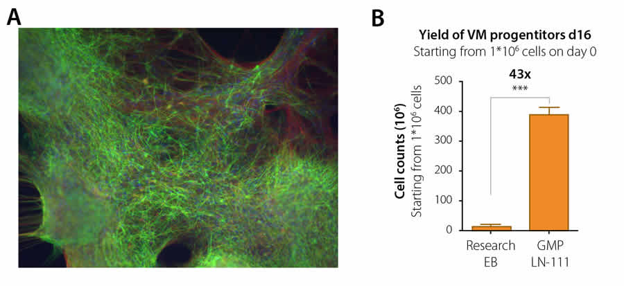 Fig4 THMAP2 DA yield BioLamina