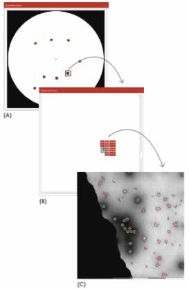 Figure2 MiniTEM software automatically acquires images at multiple locations selected as areas of interest on the grid.