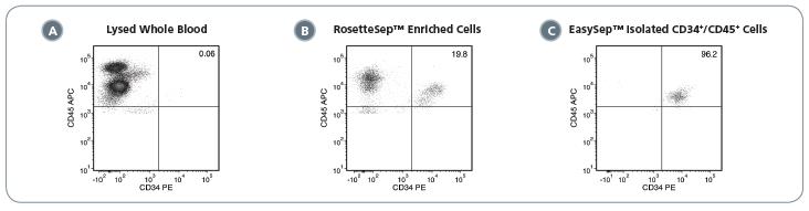 Typical Performance of the EasySep™ Complete Kit for Human Whole Blood CD34+ Cells