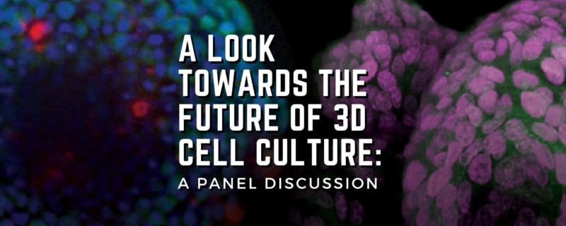 A Look Towards the Future of 3D Cell Culture - A panel discussion