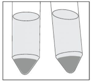 50 mL Conical