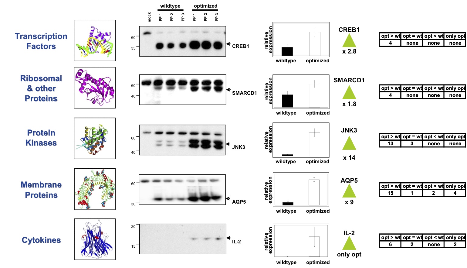 Gene Synthesis Figure 2 Gene Synthesis Figure 2