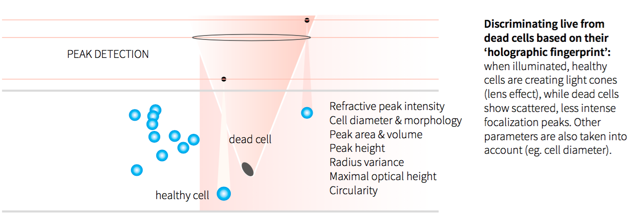 Viable Cell Counting Principle