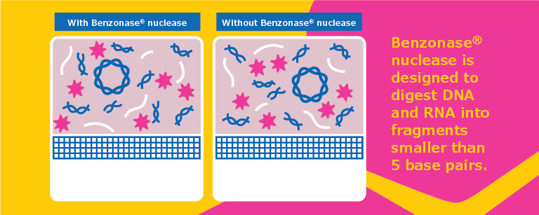 Benzonase