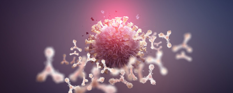 Virus protection. Antibodies and viral infection. Immune defense of the body. Attack on antigens 3D illustration