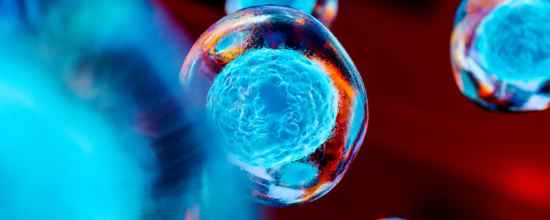 Creative image of embryonic stem cells, cellular therapy, 3d illustration