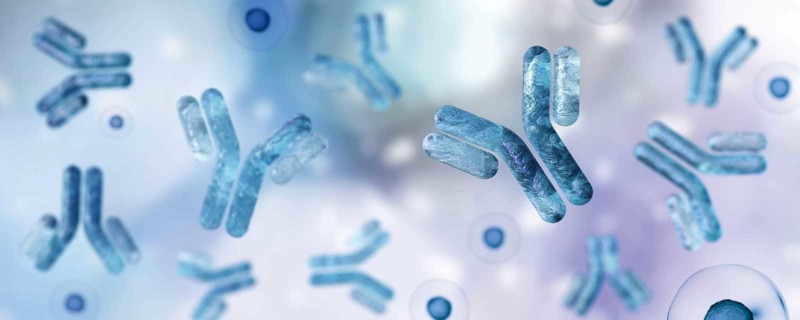 CHOSOURCE™ GS Knockout Cell Line