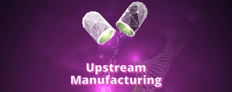 Upstream Manufacturing of Gene Therapy Viral Vectors