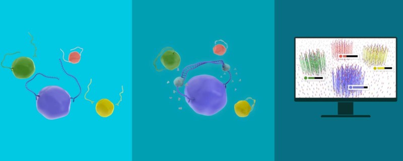 Next Generation Proteomics is the Missing Piece in Completing the Precision Medicine Puzzle
