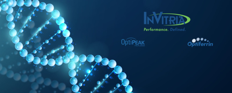 Enhancement of transient transfection with serum-free and blood-free transferrin