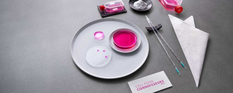 The art and science of cell food