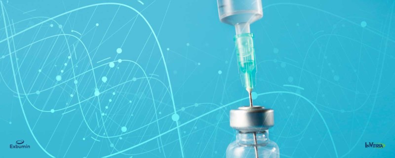 Exibumin Recombinant Human Serum Albumin Excipient
