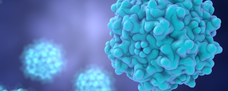 Rapid and robust AAV characterization