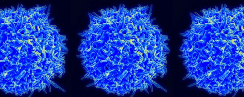 The Evolution of Cell Therapy Manufacturing - Early Days and Present-Day Procedures
