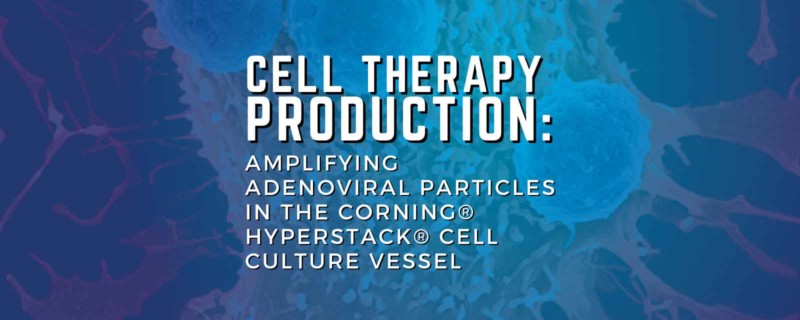 Amplifying Adenoviral Particles