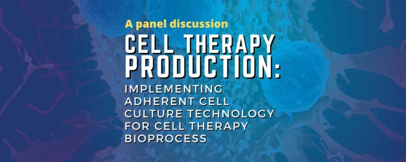 Implementing Adherent Cell Culture