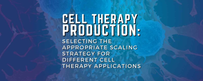 Selecting scaling strategy