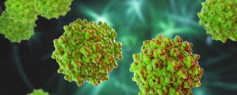 Rapid stability screening of AAV capsids and formulations