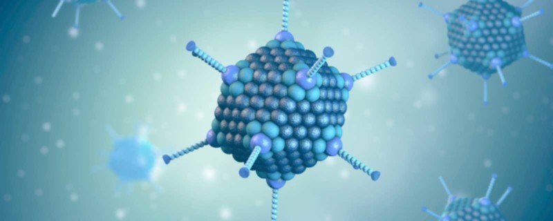 HEK293 cell growth and adenovirus production