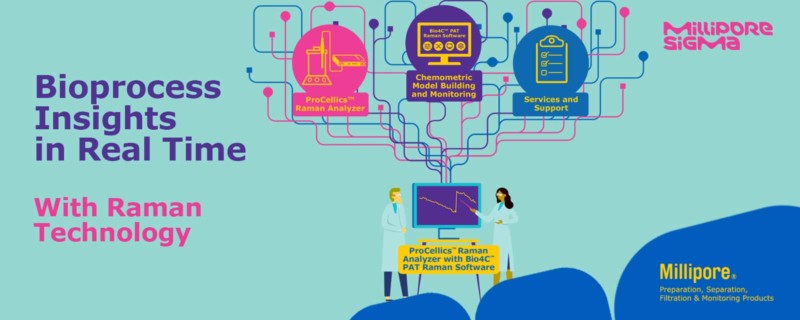 Gaining Real Time Bioprocess Insights Using Raman Spectroscopy
