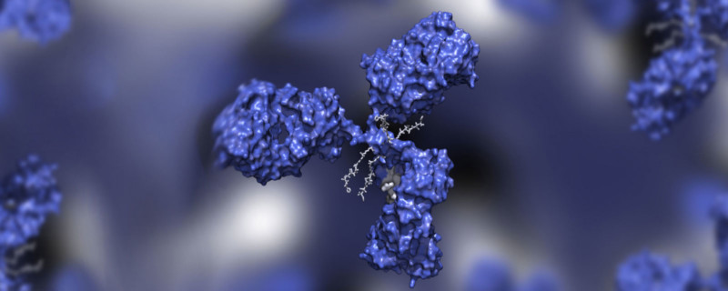 One-stop Drug Development
