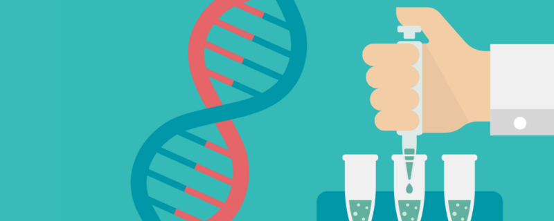 GenScript Real-time PCR (TaqMan) Primer and Probes Design Tool
