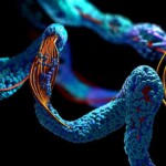 GenScript’s Protein Molecular Weight Calculator