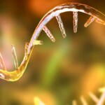 Innovative Solutions for mRNA Vaccine Manufacturing