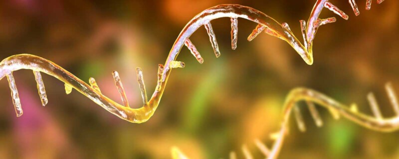 Innovative Solutions for mRNA Vaccine Manufacturing